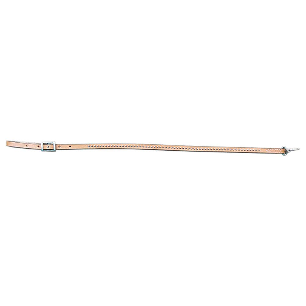 Tie Down Strap