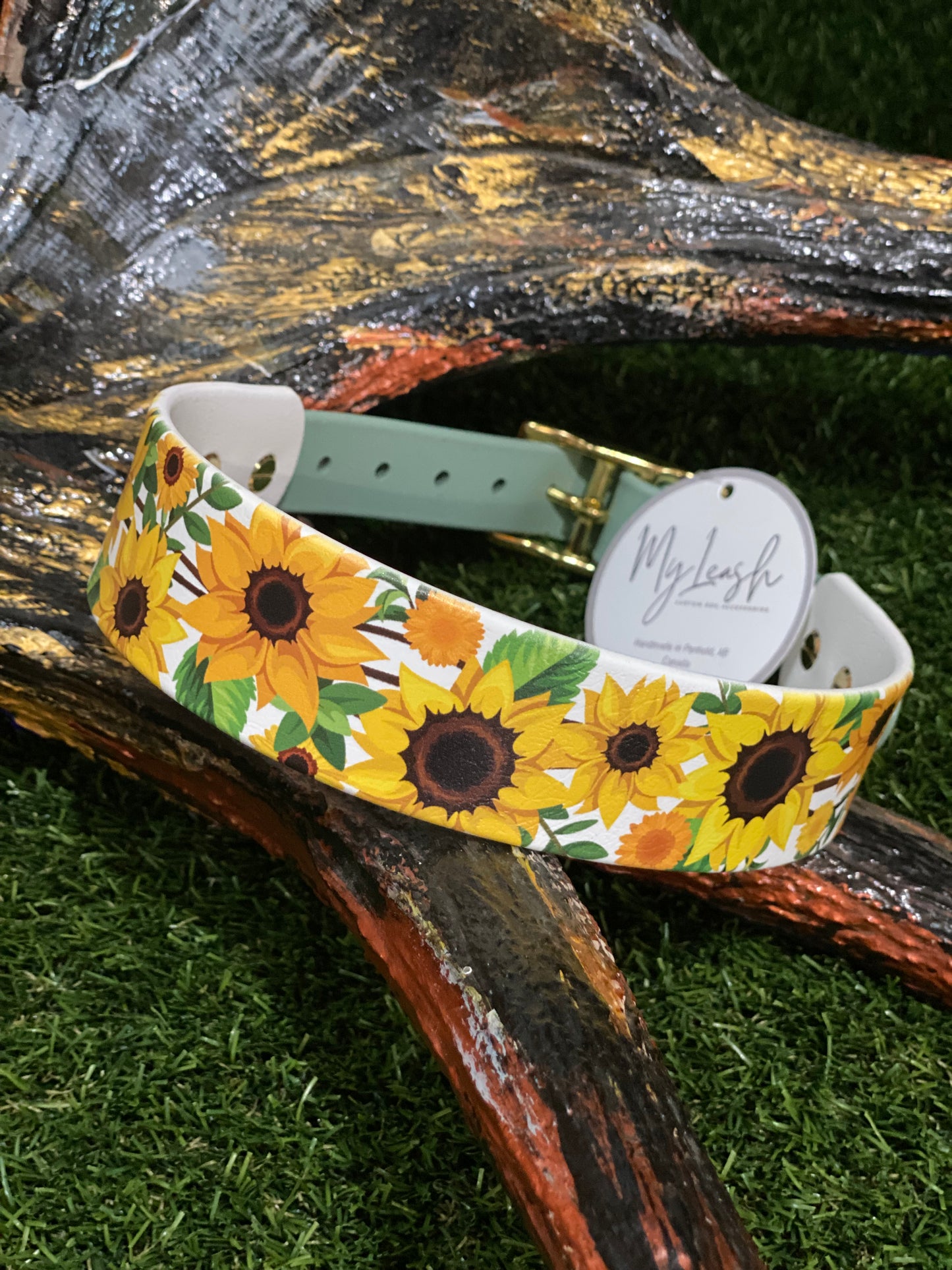 MyLeash Dog Collars