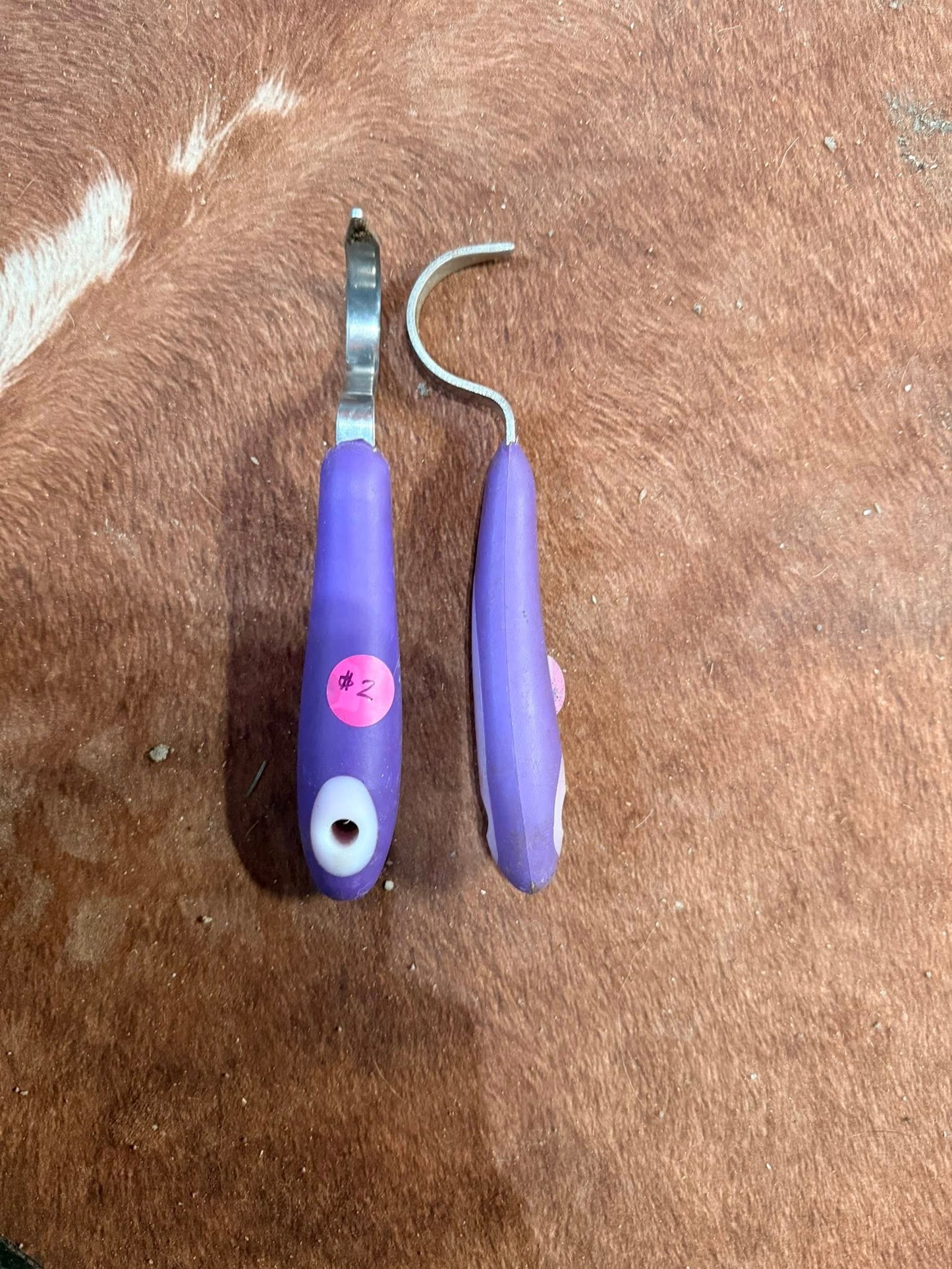 Hoof Picks - Purple