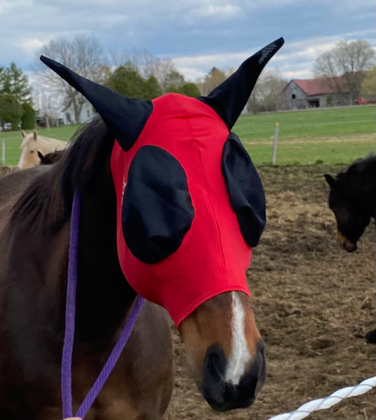 Fly Mask