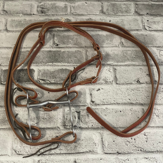 Pony Western Headstall and Reins