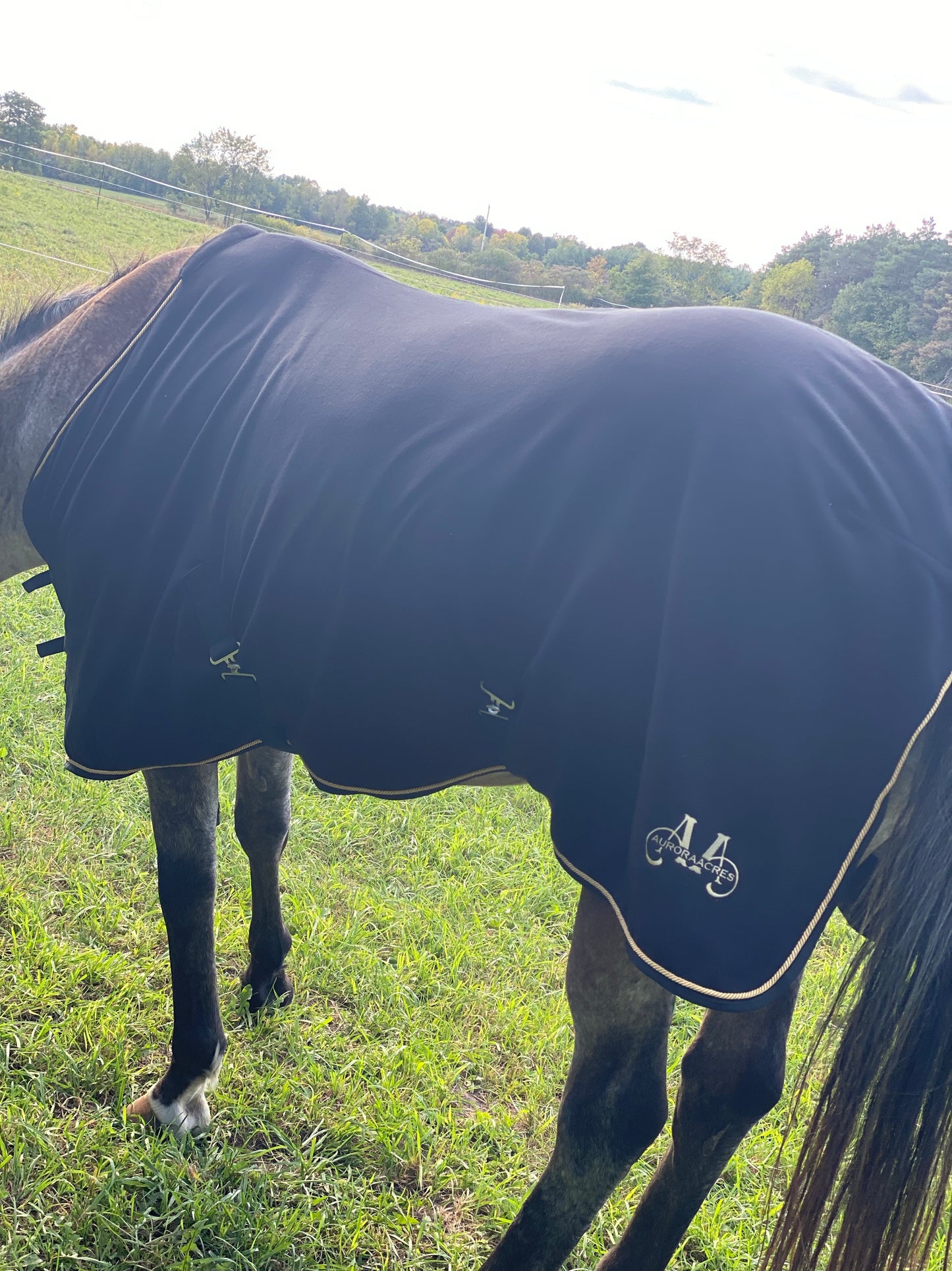 Horse Cooler - HORSE Size